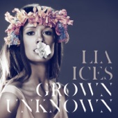 Lia Ices - Bag of Wind