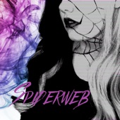 Spiderweb artwork