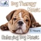 Dog Lullaby - Relaxmydog lyrics