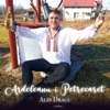 Alin Dragu - Am Plecat De Acasa