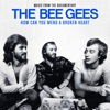 Bee Gees - Spicks And Specks