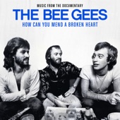 Bee Gees - Stayin Alive