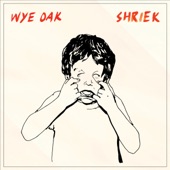 Wye Oak - Logic of Color