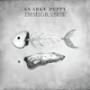 Snarky Puppy - Immigrance  artwork