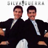Silva & Guerra, 1991