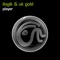 Player (Radio Edit) [Ilogik vs. UK Gold] - Ilogik & UK Gold lyrics