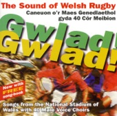 Anthem Genedlaethol Cymru (National Anthem of Wales) artwork
