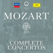 Flute Concerto No. 1 in G, K. 313: 2. Adagio non troppo artwork