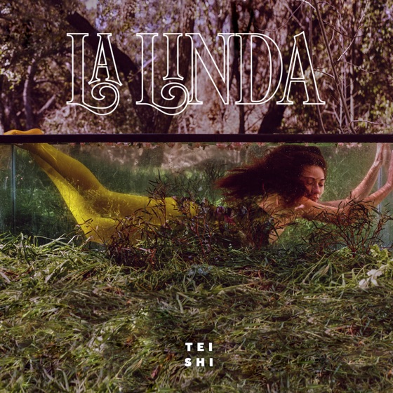 Cover artwork for We