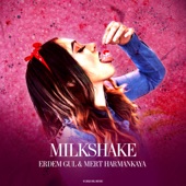 Milkshake (Extended Mix) artwork