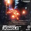 Welcome to the Jungle (feat. Sara Skinner) - Single album lyrics, reviews, download