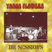 Young Flowers - I Want You to Know