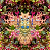 Carnival of Peculiarities - Single - Shpongle