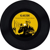 Gaudi - Theremin in Hand