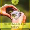 30 Spa Dreams & Healing Therapy: Serenity Relaxing Wellness, Most Popular Sounds for Massage Session, Zen Nature of Music, Pure Calmness album lyrics, reviews, download