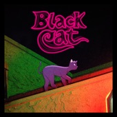 Valley Boy - Black Cat