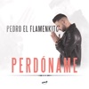Pedro el Flamenkito - Perdoname