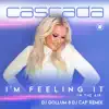 Stream & download I'm Feeling It (In the Air) [DJ Gollum & DJ Cap Remix] - Single