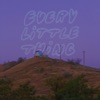 Every Little Thing - Single