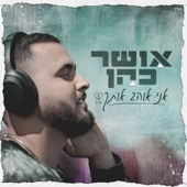 אני אוהב אותך (prod by Navi) artwork