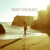 What You Want (feat. Kim) - Single album lyrics, reviews, download