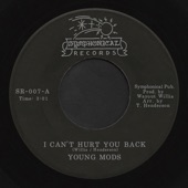 Young Mods - I Can't Hurt You Back