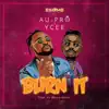 Burn It - Single album lyrics, reviews, download