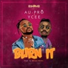 Burn It - Single