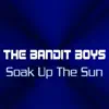 Soak up the Sun - Single album lyrics, reviews, download