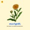 Marigold (feat. Ari Lennox & Mannywellz) - Dave James lyrics