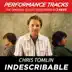 Indescribable (Performance Tracks) - EP album cover