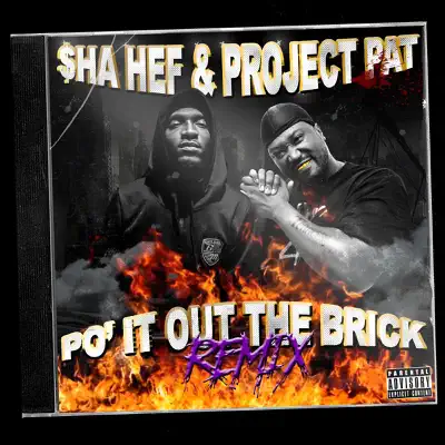 Po' It Out the Brick (Remix) - Single - Project Pat