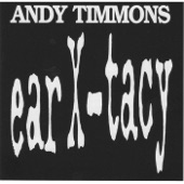 Andy Timmons - Electric Gypsy