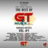 Roots, Reggae & Dancehall (The Best of Gt Muzik, Vol. 1)