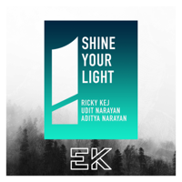 Ricky Kej, Udit Narayan & Aditya Narayan - Shine Your Light (feat. Wouter Kellerman, Lonnie Park, Mzansi Youth Choir & IP Singh) - Single artwork