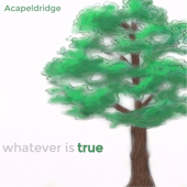 Whatever Is True - Acapeldridge