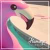 Flamingo - Single