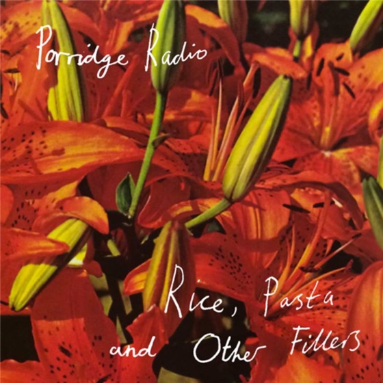 Cover artwork for Worms