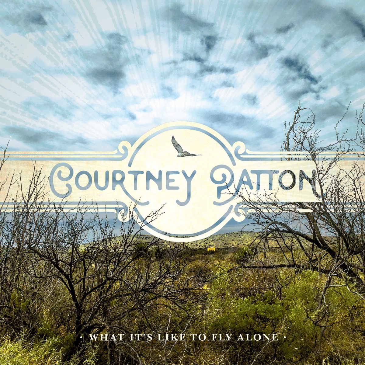 what-it-s-like-to-fly-alone-by-courtney-patton-on-apple-music