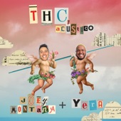 THC (Acústico) artwork