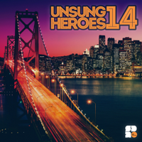 Various Artists - Unsung Heroes 14 artwork