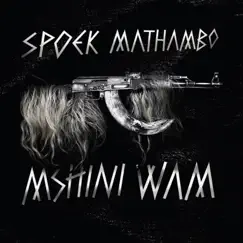 Mshini Wam by Spoek Mathambo album reviews, ratings, credits