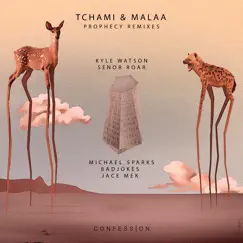 Prophecy (Remixes) - EP by Tchami & Malaa album reviews, ratings, credits