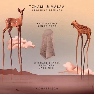 Prophecy (Senor Roar Remix) by Tchami & Malaa song reviws