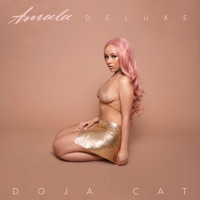 Download Doja Cat - Amala (Deluxe Version) Full MP3 Album ...