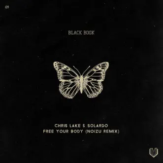 Free Your Body (Noizu Remix) by Chris Lake & Solardo song reviws