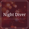 Night Diver