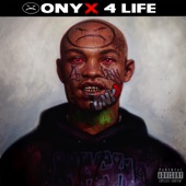 Onyx 4 Life artwork