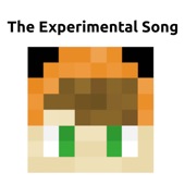 The Experimental Song artwork