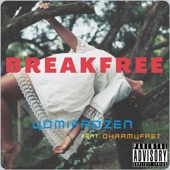 BreakFree (feat. Dharmyfret) artwork